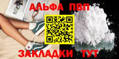 стаф Кингисепп