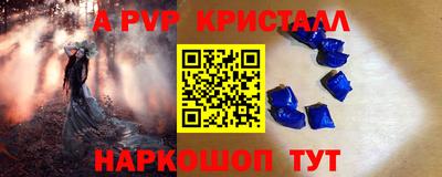 стаф Кингисепп