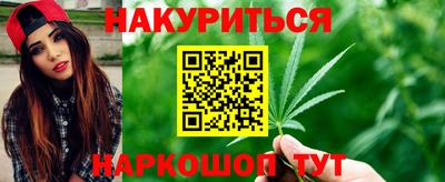 стаф Кингисепп