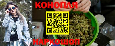 стаф Кингисепп