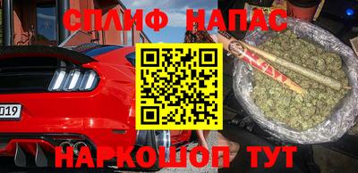 стаф Кингисепп