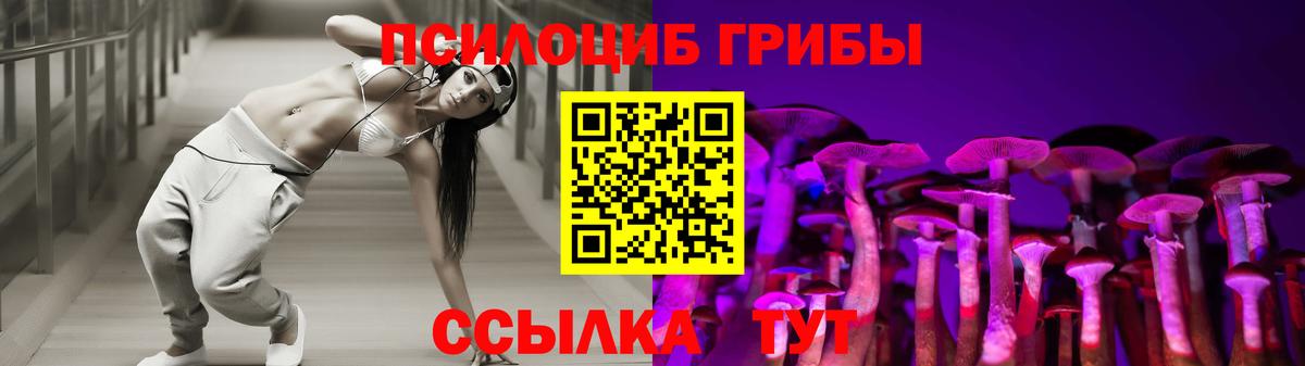 как найти   Вход с VPN  Бугуруслан  Псилоцибиновые грибы Cubensis  Галлюциногенные грибы прущие грибы 